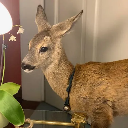 Itha's Secret Escape Langschlag (Gross Gerungs)