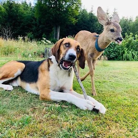 Itha's Secret Escape *