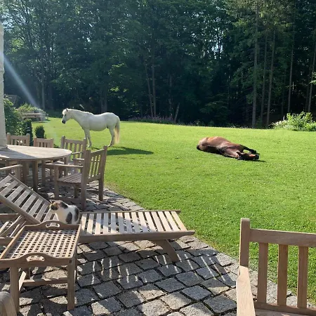 Itha's Secret Escape Апартаменты Langschlag (Gross Gerungs)