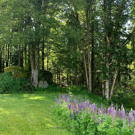 Forsthaus Langschlaegerwald דירה Langschlag (Gross Gerungs)