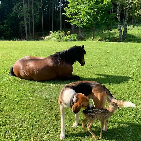 Itha's Secret Escape Апартаменты