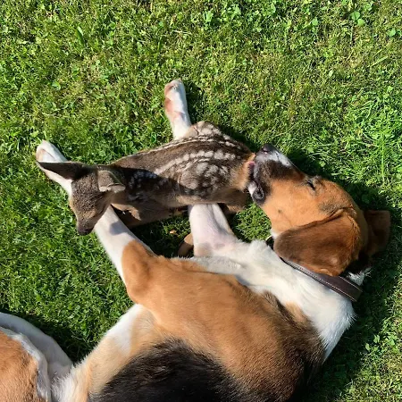 Itha's Secret Escape Langschlag (Gross Gerungs)