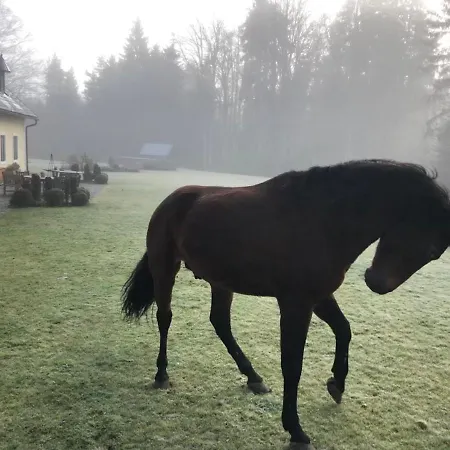 Forsthaus Langschlaegerwald アパート Langschlag