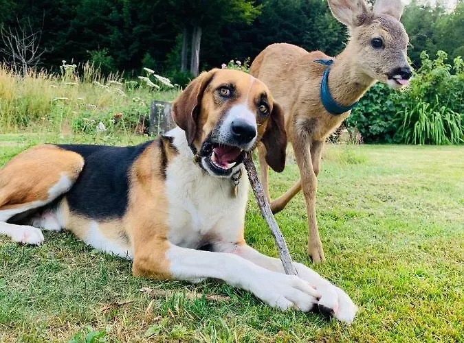 Itha's Secret Escape *