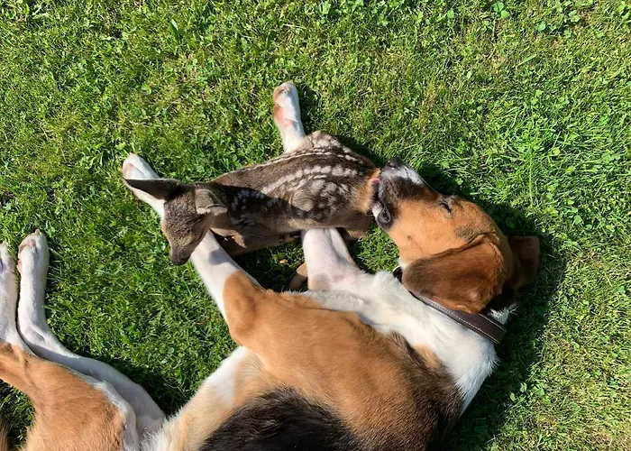 Itha's Secret Escape Langschlag (Gross Gerungs)