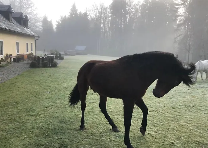 Itha's Secret Escape Apartmán Langschlag (Gross Gerungs)